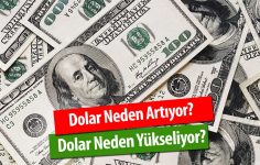 Dolar Neden Artıyor? Dolar Neden Yükselir? -2020