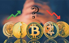 Kripto Piyasası: Bitcoin ve Yükselen Altcoin’ler
