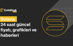 Solana Fiyatı: Yeni Rekor Seviyeye Ulaştı