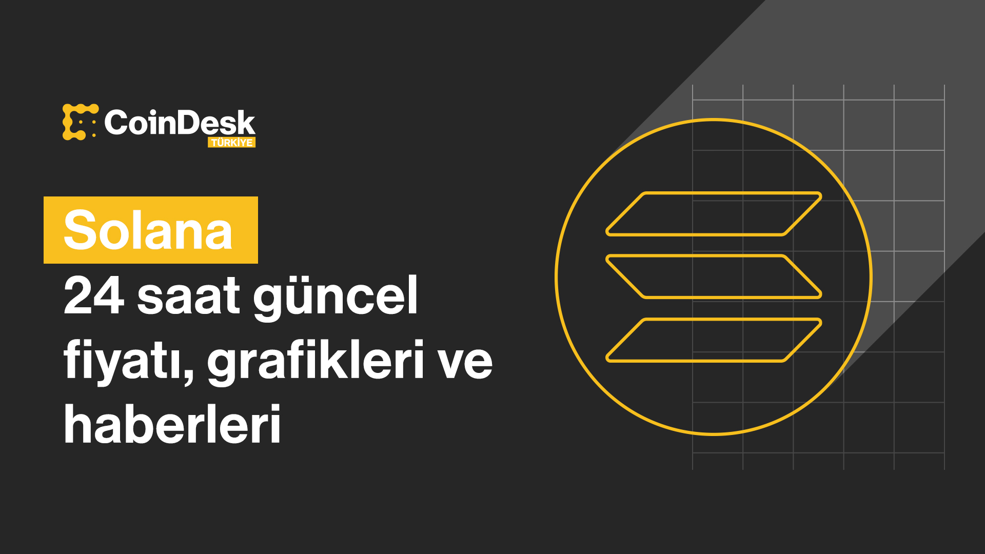 Solana Fiyatı: Yeni Rekor Seviyeye Ulaştı