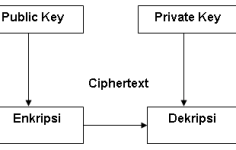 Kriptografi: Bitcoin ve Altcoin’lerdeki Gelişmeler