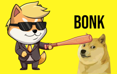 BONK Memecoin Yükseliyor: Solana’daki Hareketlilik