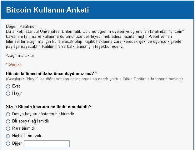 Bitcoin Anketi: Yatırımcıların Tercihleri ve Stratejileri
