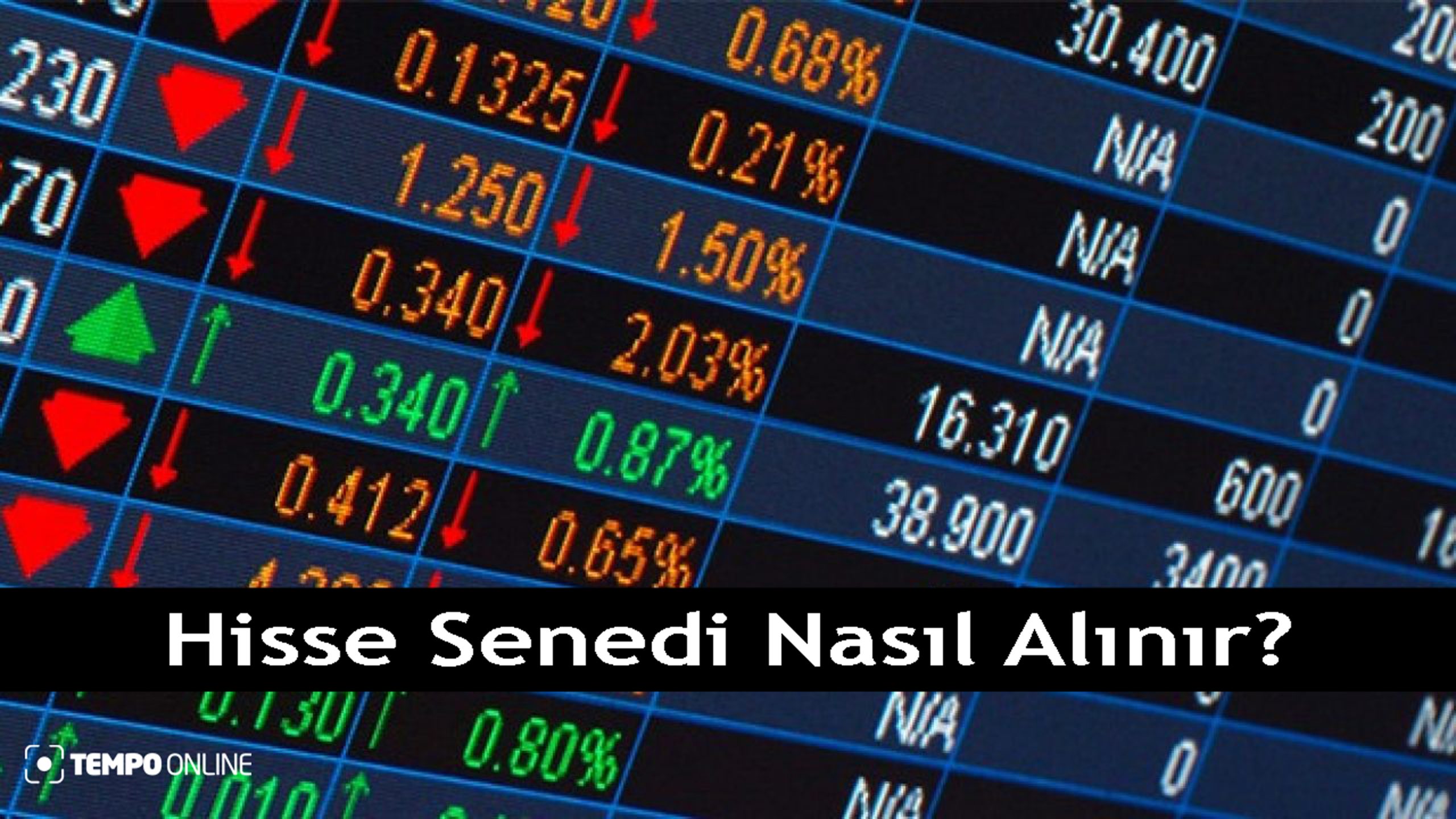 Borsa 101: Temel Terimler Her Yatırımcının Bilmesi Gerekenler