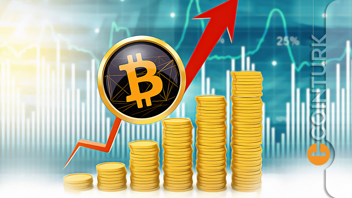 Bitcoin ve Küresel Ekonomideki Rolü: Büyüme ve Etki Analizi