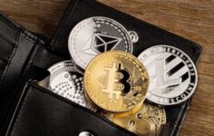 Bitcoin Cüzdanları Açıklandı: Size Uygun Olanı Seçme